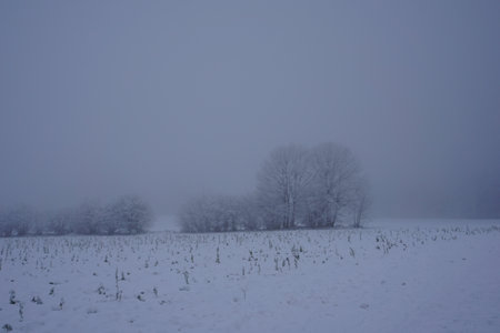 winter landscape and trees covered with snowの写真素材