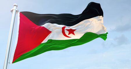 Western Sahara Flag Waving loop 4Kの素材 [FY310147301435]