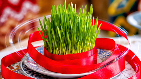 Nowruz holiday greeting card. Novruz bayram backgroundの写真素材