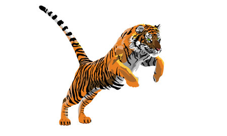 Colored Tiger, on an isolated backgroundのイラスト素材