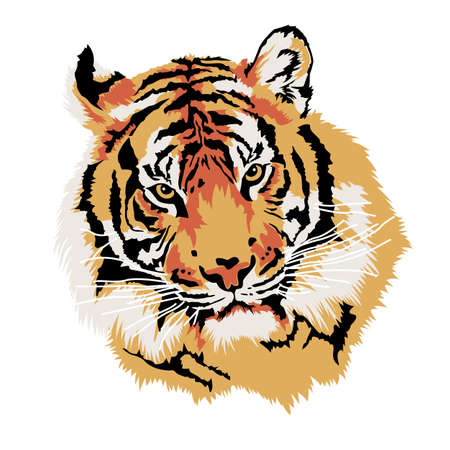 Illustration of a tiger, Chinese holiday, isolated backgroundのイラスト素材