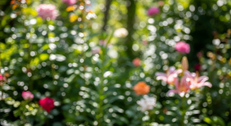 Blurred background of flower garden with bokeh light and shadowの素材