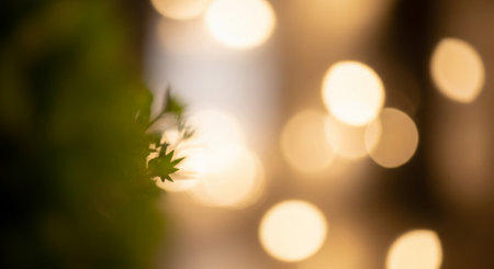 Abstract bokeh background of defocused lights. Bokeh background.の素材