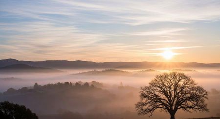 Sunrise in the mountains with a tree in the foreground and fog in the backgroundの素材