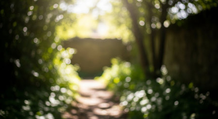 Blurred view of a path in the forest. Abstract natural background.の素材