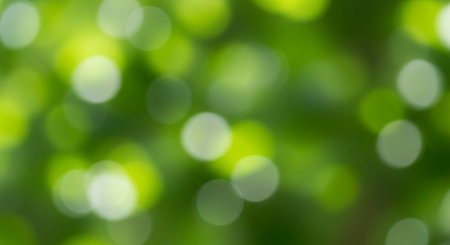 green bokeh background from nature under tree shade,green bokeh backgroundの素材
