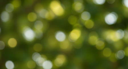 green bokeh background from nature under tree shade, stock photoの素材