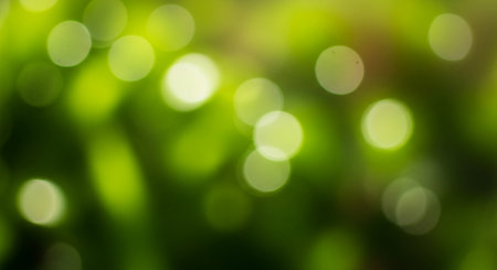 green bokeh abstract light background, defocused nature background.の素材