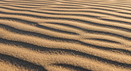 sand dune texture background. Close up of sand dune texture.の素材