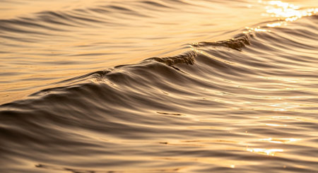 Waves in the sea at sunset. Texture of water surface.の素材