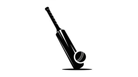 Cricket bat and ball icon isolated on white background. Vector illustration.の素材