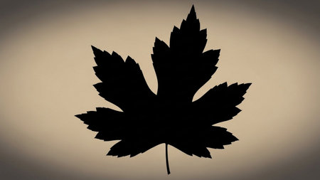 Silhouette of a maple leaf on a light brown background.の素材