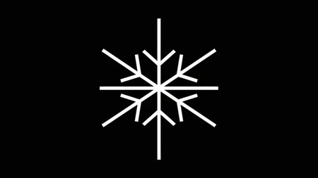 Snowflake on a black background. White snowflake on a black background.の素材