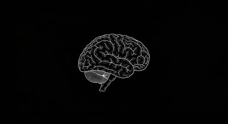 Human brain on a black background. 3D rendering. Computer digital drawing.の素材