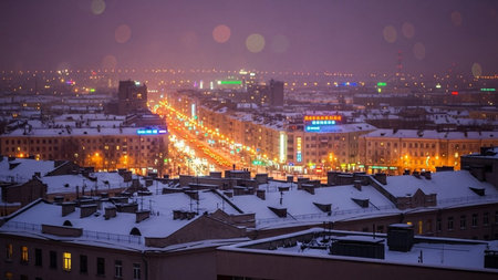 Panoramic view of the city of St. Petersburg at nightの素材