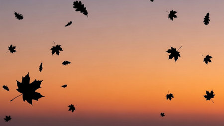 Silhouettes of autumn leaves on a background of a beautiful sunsetの素材