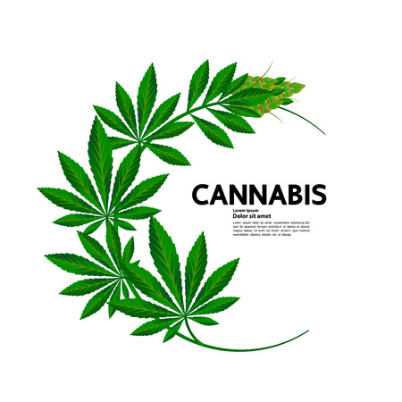 Cannabis benefit for medical vector.のイラスト素材
