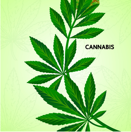 Cannabis benefit for medical vector.のイラスト素材