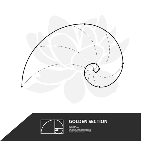 Golden ratio for creative design section vector illustration.のイラスト素材