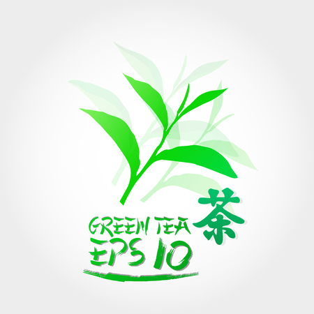 Premium green tea for good health vector.のイラスト素材