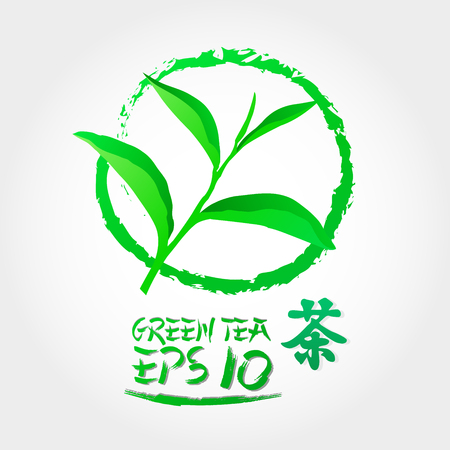 Premium green tea for good health vector.のイラスト素材