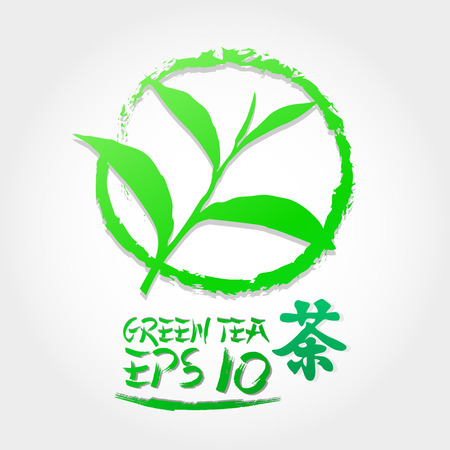 Premium green tea for good health vector.のイラスト素材