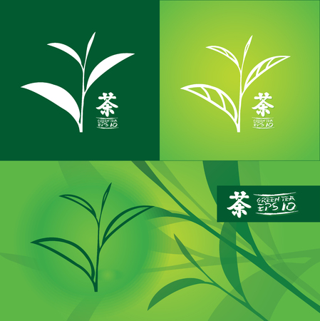 Premium green tea for good health vector.のイラスト素材