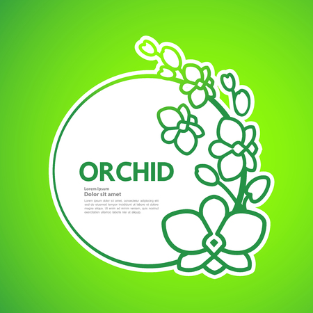 Premium grand Orchid design concept vector.のイラスト素材