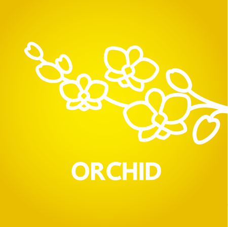 Premium grand Orchid design concept vector.のイラスト素材