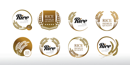 Premium Rice great quality design concept  vector.のイラスト素材