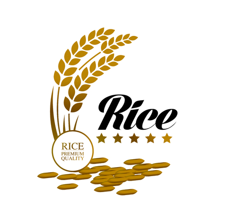 Premium Rice great quality design concept  vector.のイラスト素材