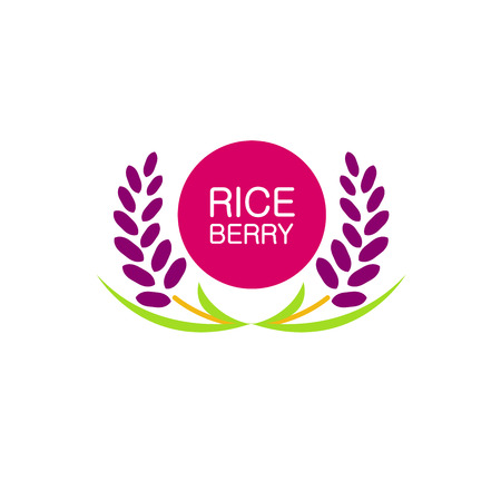 Premium Rice Berry great quality design concept  vector.のイラスト素材