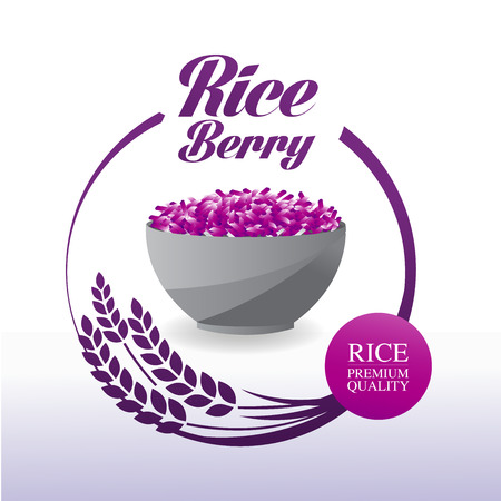 Premium Rice Berry great quality design concept  vector.のイラスト素材