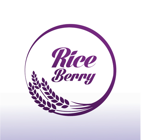 Premium Rice Berry great quality design concept  vector.のイラスト素材
