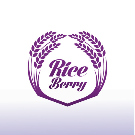 Premium Rice Berry great quality design concept  vector.のイラスト素材