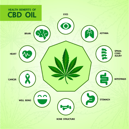 Cannabis benefits for health vector illustration.のイラスト素材