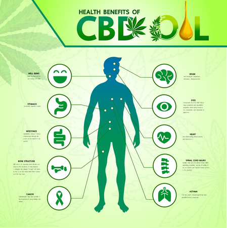 Cannabis benefits for health vector illustration.のイラスト素材