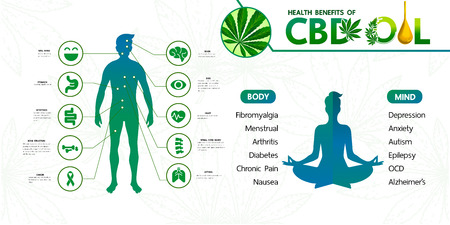 Cannabis benefits for health vector illustration.のイラスト素材