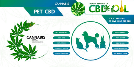 Cannabis benefits for pet health vector illustration.のイラスト素材