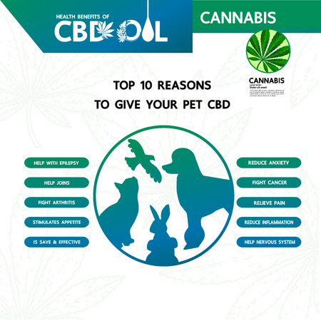 Cannabis benefits for pet health vector illustration.のイラスト素材
