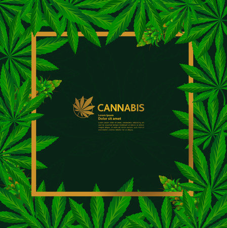 Green cannabis leaf background illustration.のイラスト素材