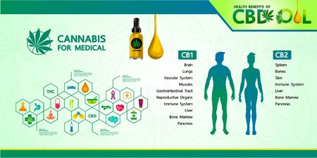 Cannabis benefits for health vector illustration.のイラスト素材