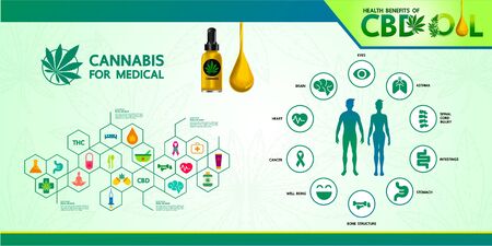 Cannabis benefits for health vector illustration.のイラスト素材
