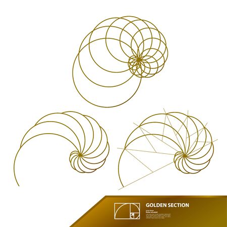 Golden ratio for creative design vector illustration.のイラスト素材