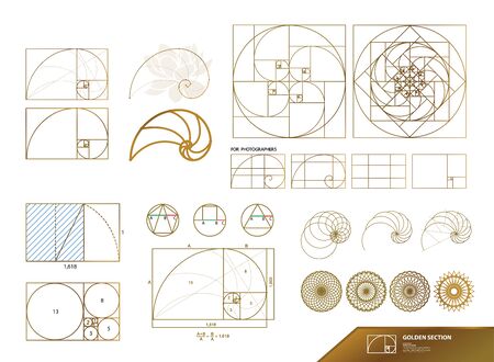 Golden ratio for creative design vector illustration.のイラスト素材