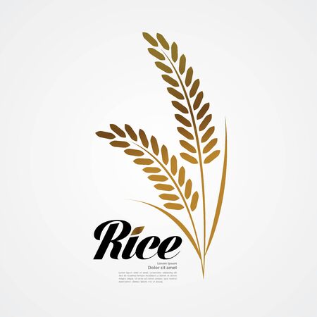 Premium Rice great quality design concept  vector.のイラスト素材