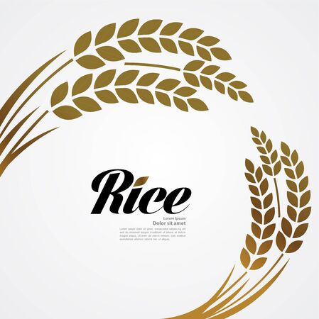 Premium Rice great quality design concept  vector.のイラスト素材
