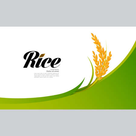 Premium Rice great quality design concept  vector.のイラスト素材