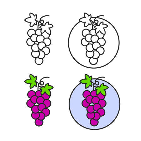 The Grape fresh fruit graphic vector illustration.のイラスト素材