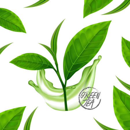 The Premium green tea for good health vector illustration.のイラスト素材